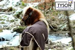 600 D NUR KLETT Regendecke Minipony Shetty Braun 60 65 70 75 80 85 90 95 100 ohne Schnallen