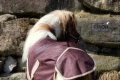 600 D NUR KLETT Regendecke Minipony Shetty Braun 60 65 70 75 80 85 90 95 100 ohne Schnallen