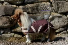 600 D NUR KLETT Regendecke Minipony Shetty Braun 60 65 70 75 80 85 90 95 100 ohne Schnallen