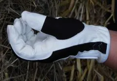 Reithandschuhe Schwarz Wei XXS XS S M L Kunstleder + Netz Damen Kinder Handschuhe Kunstleder